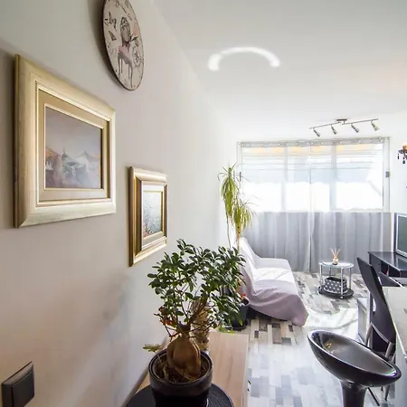 Apartment Happy Grey Split